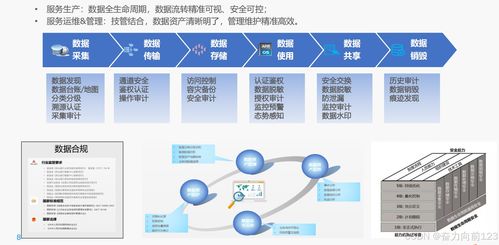 Java系統數據安全與治理 數據處理與存儲支持服務的實踐與策略